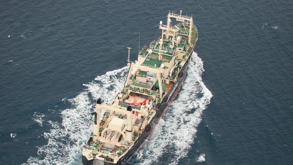 Sea Shepherd versus velrybáři - 2