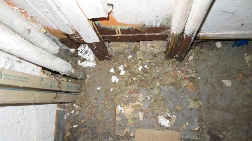 Uzavřené provozovny za závažné hygienické prohřešky - 3