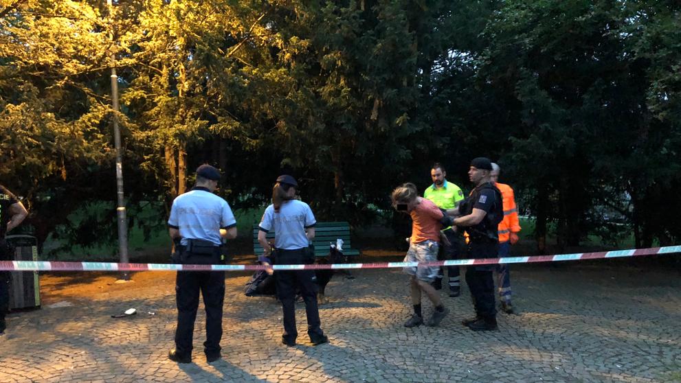 Střelba z plynové pistole v parku v Riegrových sadech - 3