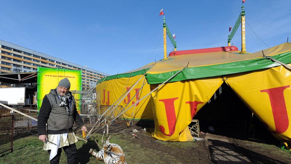 Zákulisí představení cirkusu - 8