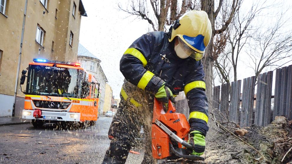 Spadlý strom v Ostravě (1)