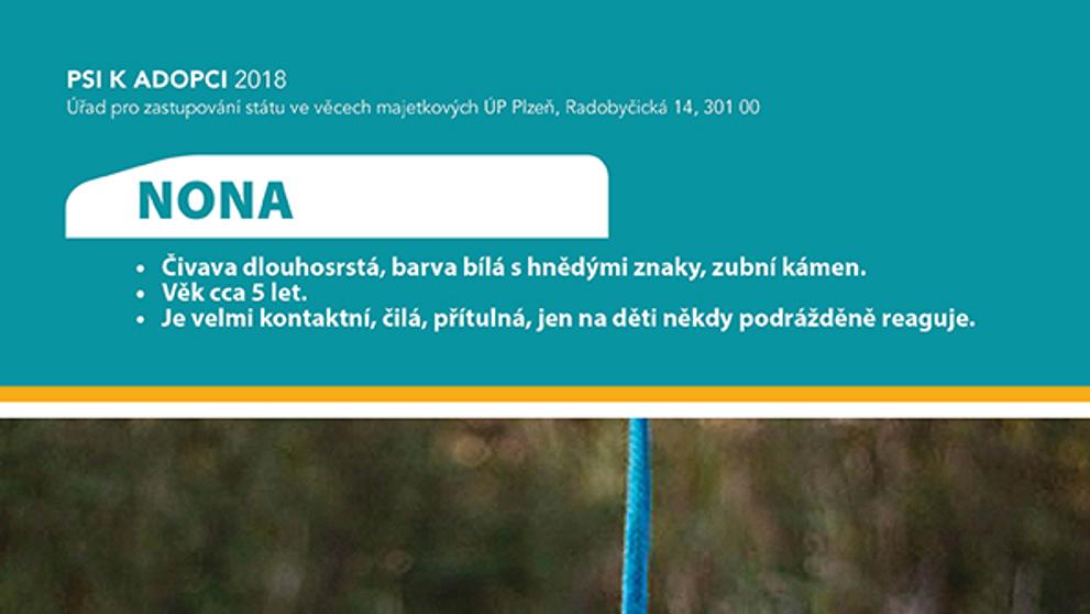 Pejsek k adopci