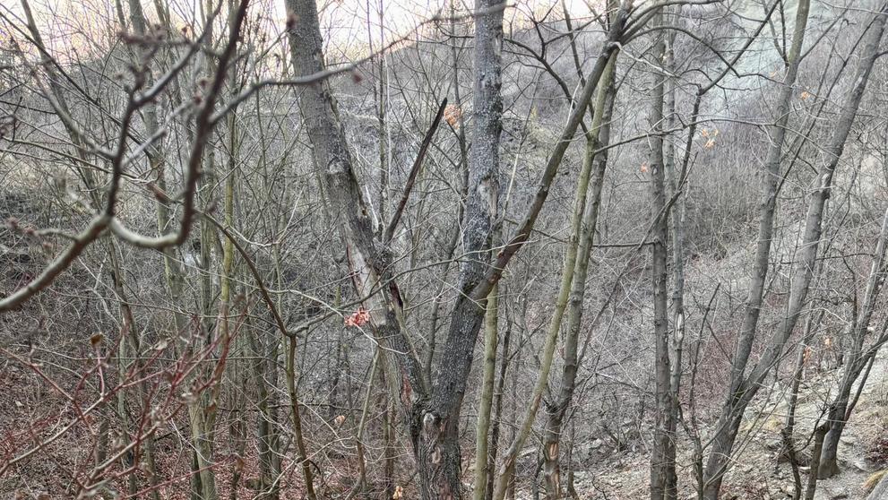 Muž spadl ze skály v Prokopském údolí