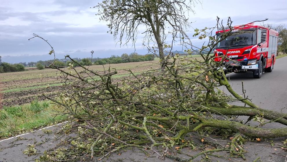 Následky silného větru v Olomouckém kraji