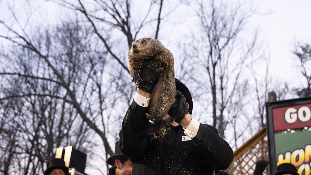 Slavný svišť Phil předpověděl, kdy přijde jaro, 2. 2. 2025 (1)