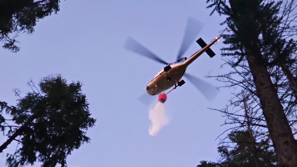 Požár lesa u Brna - 3