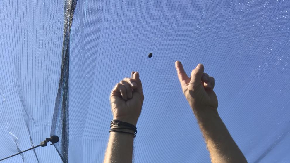 30. září 2018 Ralph Sporn a Martin Neuhofer nalezli další meteorit (M4)