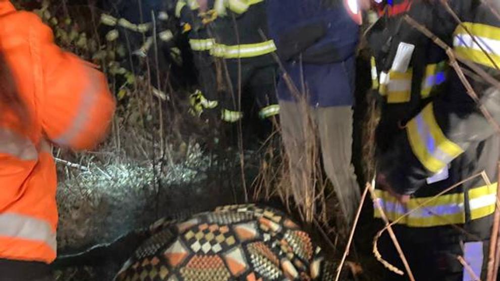 Záchrana koně z betonového koryta šachty v Hudcově (4)