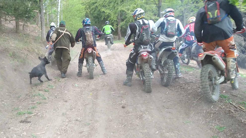 Skupina motorkářů napadla v lese poblíž Sentic lesní dělníky - 3