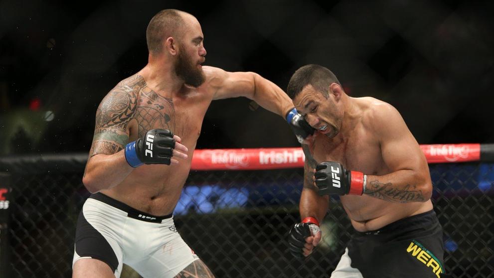 Fabricio Werdum