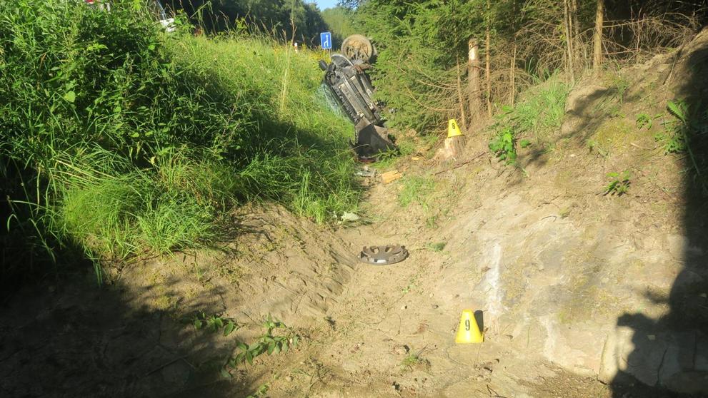 Řidičku za jízdy bodla vosa (4)