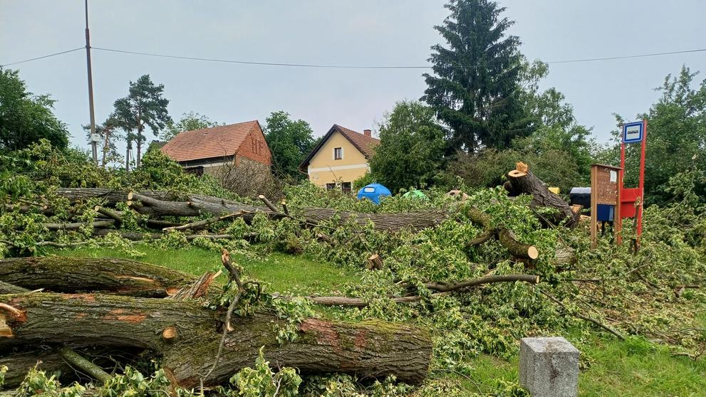 Sedlčany se vzpamatovávají z vichřice (5)