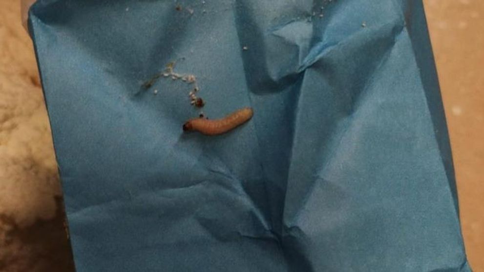 Inspekce odhalila závadnou mouku v Kauflandu