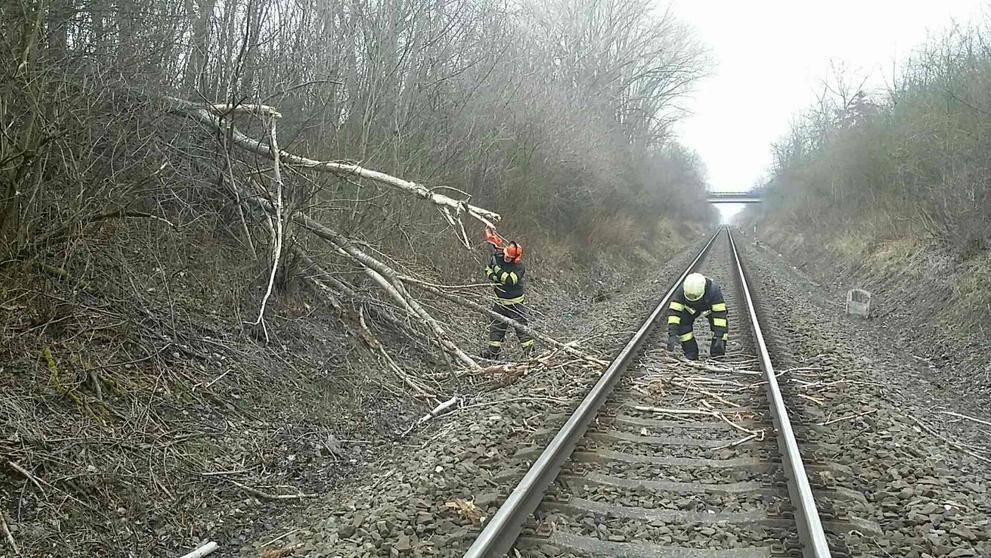 Popadané stromy a uvolněné střešní krytiny v Olomouckém kraji - 1