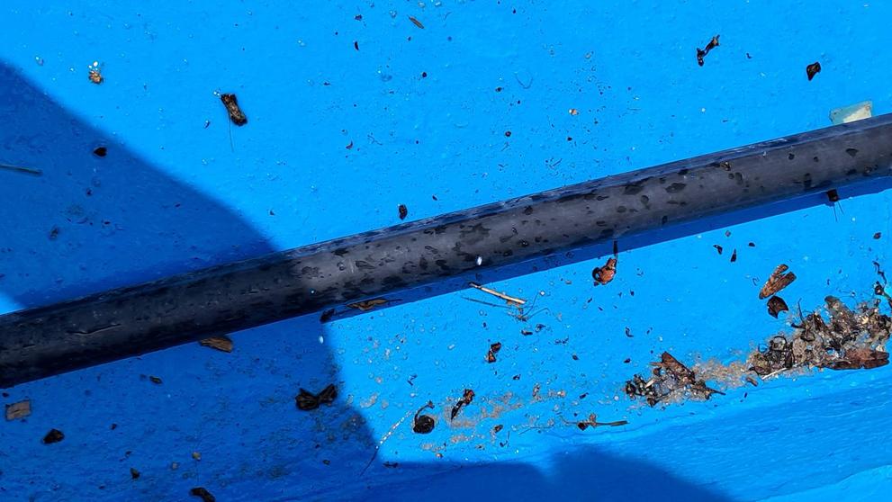 Snímky, které paní Markéta vyfotila na koupališti v Čakovicích