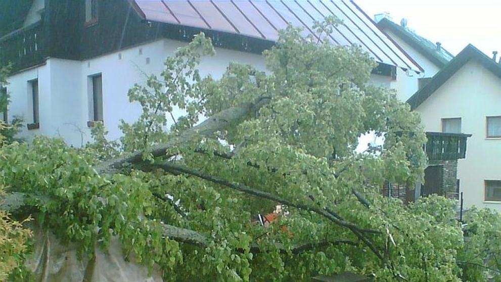 Vítr srazil strom na domek v Železné Rudě