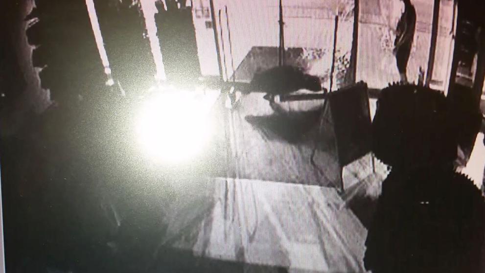 Divoké v prase vtrhlo do obchodu