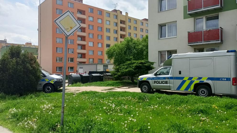 Pátrání po novorozenci