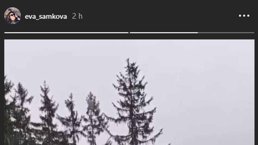 Vánoce - Eva Samková