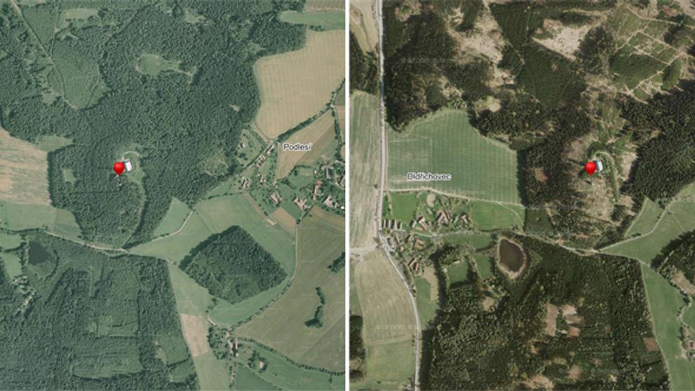 Pokácené lesy - Mezivrata