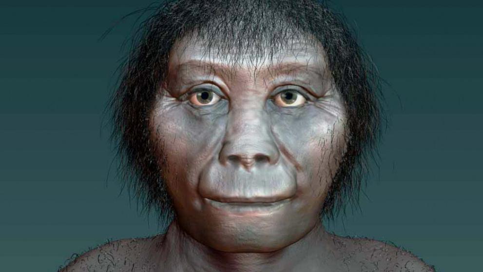 Homo floresiensis (3)