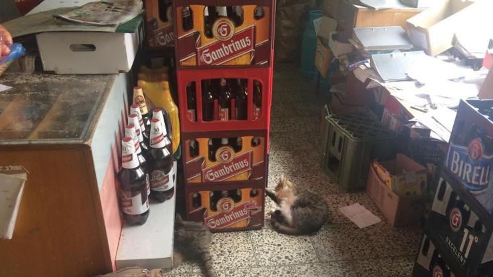 Nechutnosti objevené při kontrolách SZPI - 25