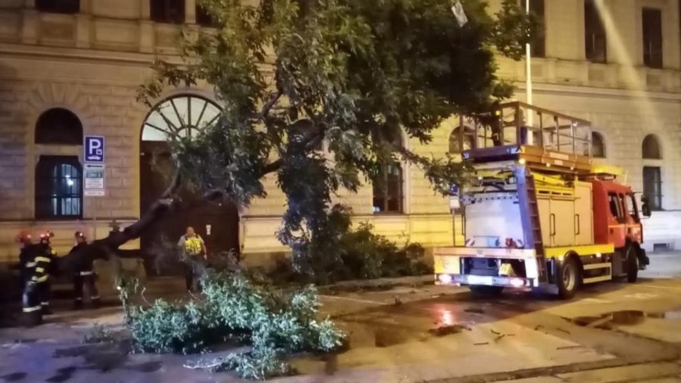 Na brněnském náměstí spadl po bouři strom - 3