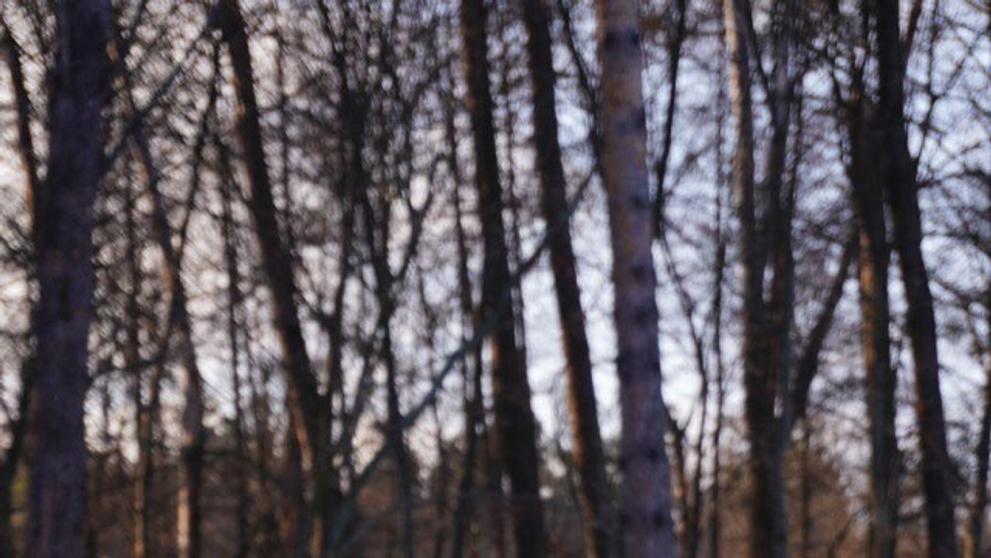 Český dobrovolník padl v únoru na Ukrajině (2)
