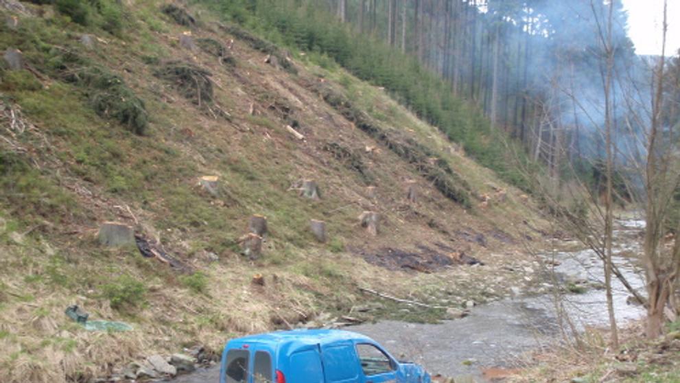 Poštovní auto skončilo po nehodě v potoce