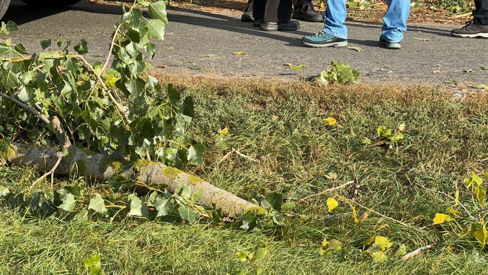 Pád větve na cyklistu (5)