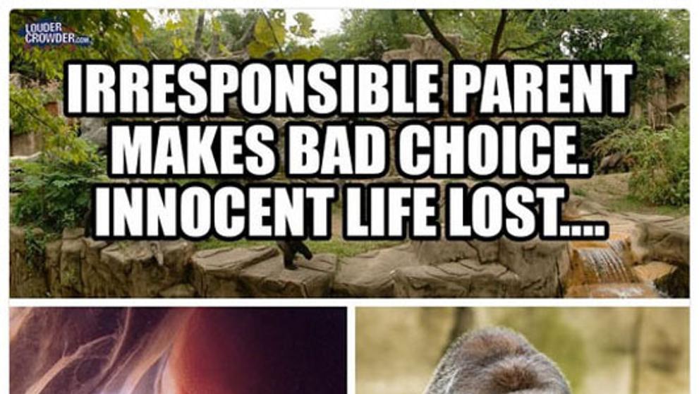 Harambe - 3