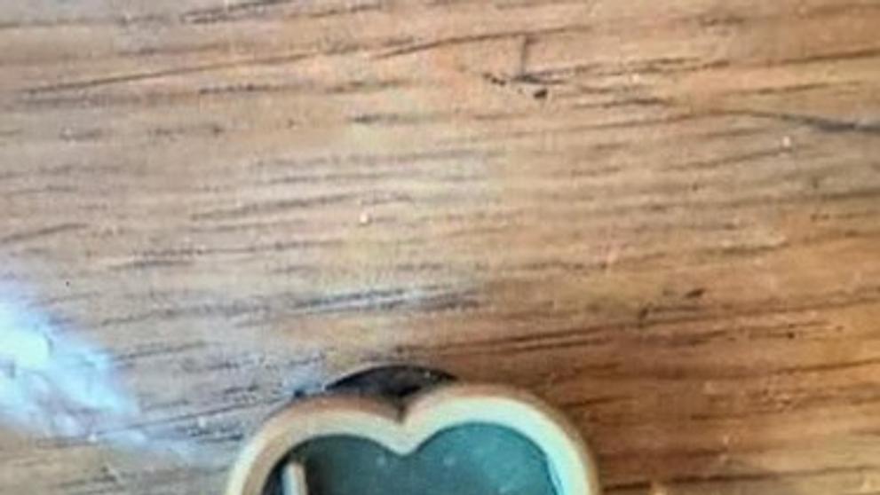Co vše mohou zkonzumovat vaši domácí mazlíčci? - 4