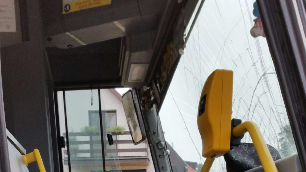 Řidič autobusu dostal infarkt a narazil do stromu - 3