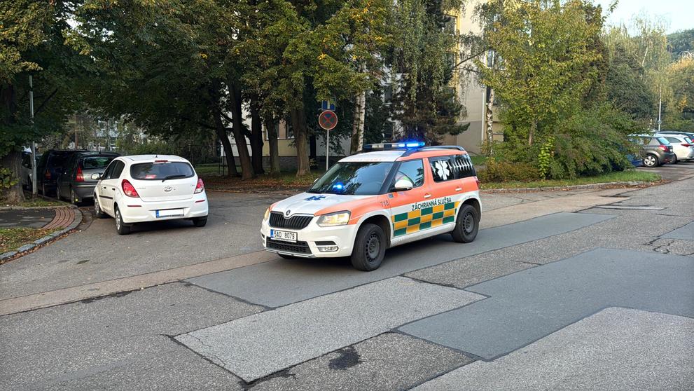 V Praze utekli majiteli agresivní rotvajleři