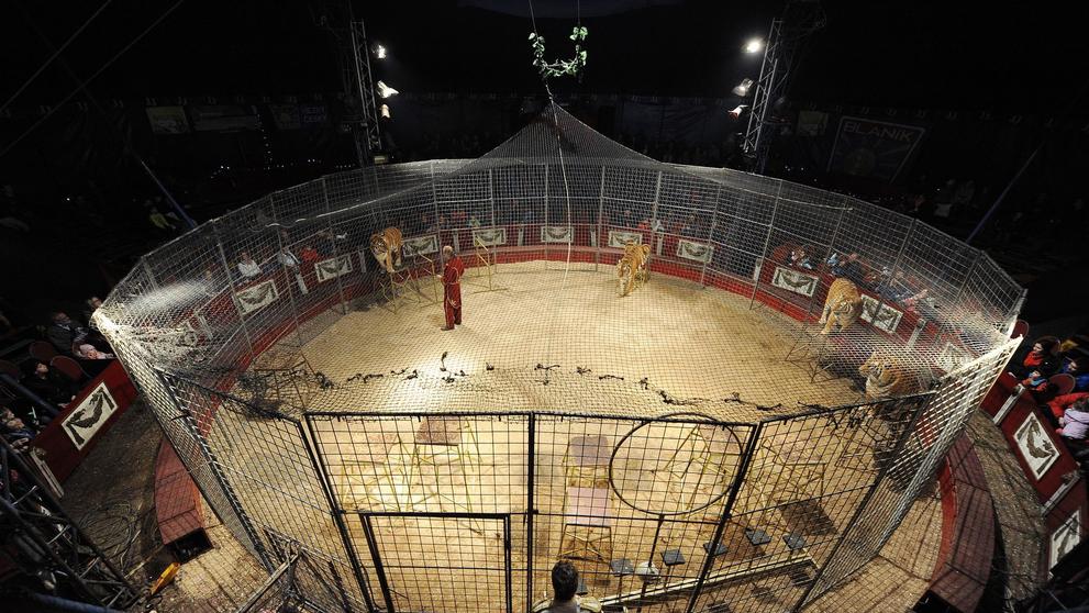 Zákulisí představení cirkusu - 26