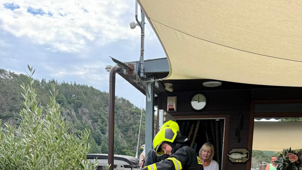 Had v hausbótu Heleny Vondráčkové (4)