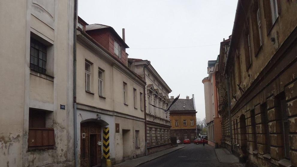 záchrana čápa