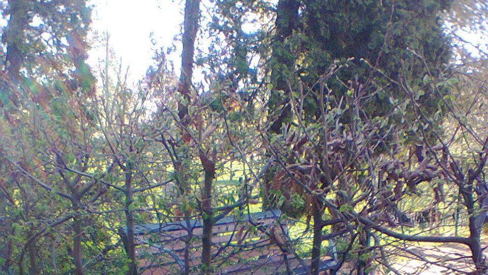 Porušování pravidel v Brně - 3