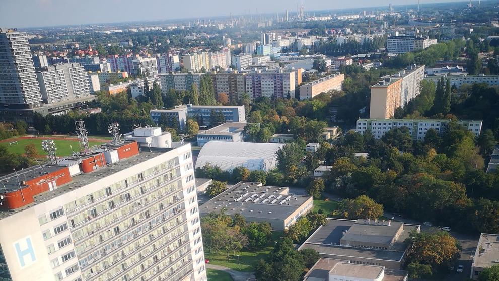 Dopravní nehoda (1)