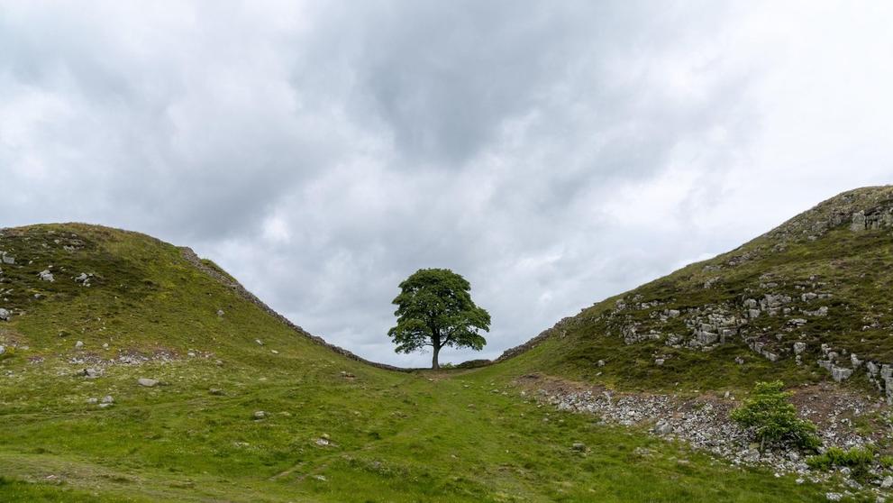 Sycamore Gap