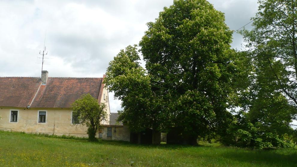 Dům Emy Destinnové - 2