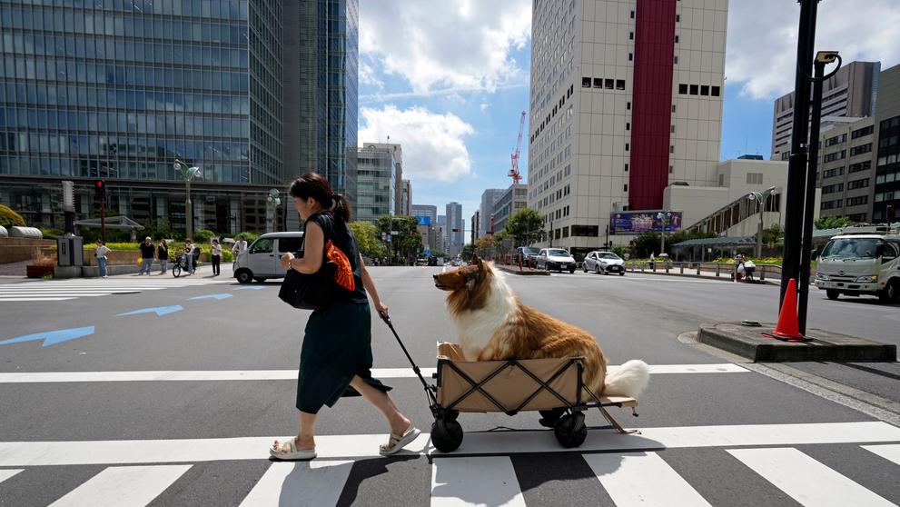 Japonec žije dvojím životem (3)