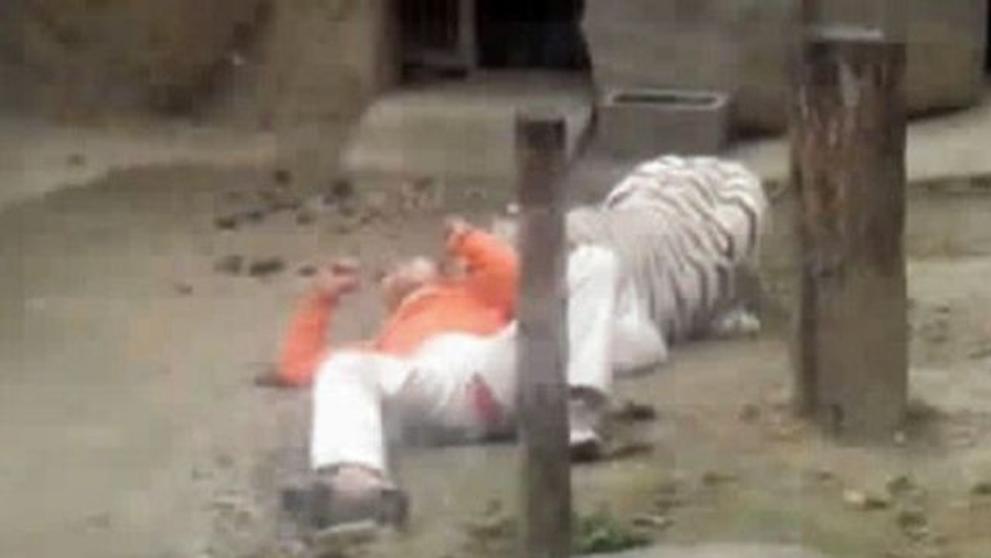 Horor v zoo: Mladík se vrhl k tygrům - 3