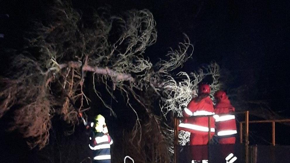Vítr: Padlý strom na trať