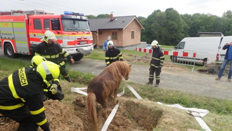 Hasiči zachraňovali na Frýdecko-Místecku poníka ve výkopu - 3