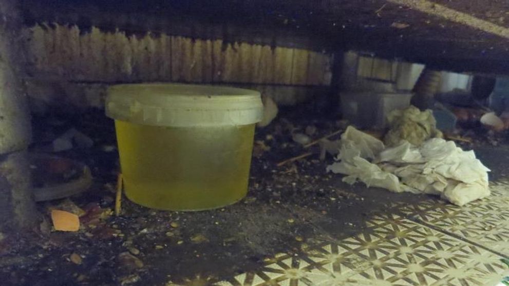 Kontrola odhalila nevyhovující hygienické podmínky v pražské pekárně