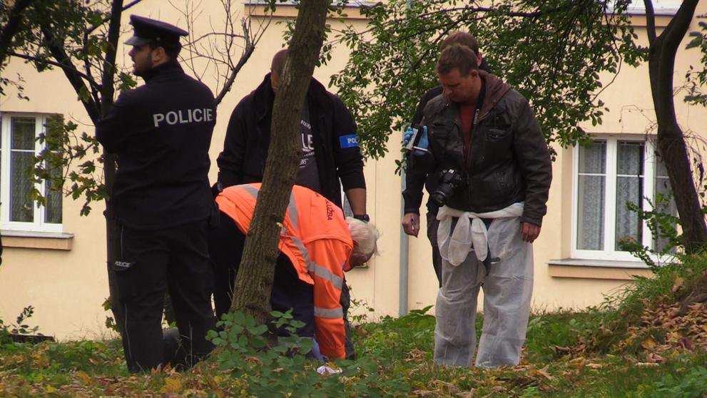 Nález mrtvého muže v parku u pražské Bulovky - 2