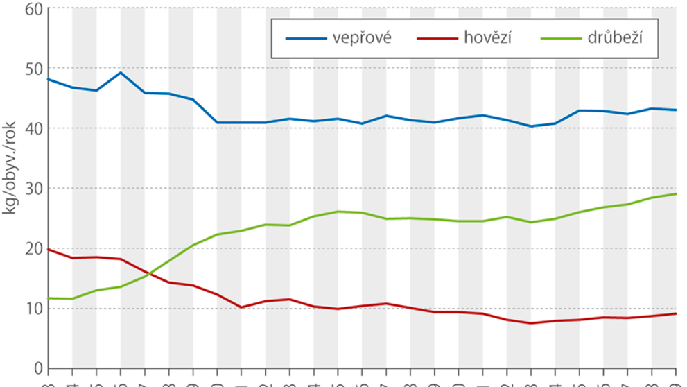 Spotřeba