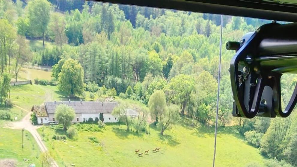 Lesní požár na Mladoboleslavsku (17)