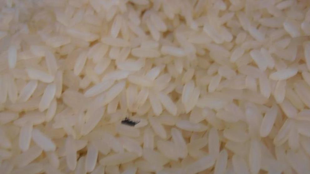 Potraviny na pranýři: Kaufland Liberec: Parboiled rýže dlouhozrnná - 2
